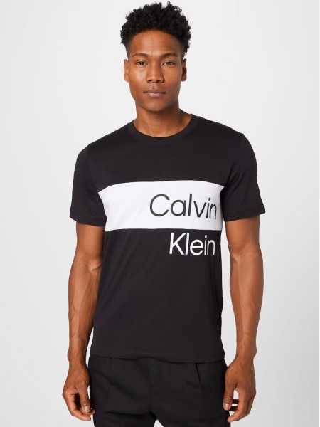 T-Shirt Homem Institutional Blocking Tee Calvin Klein
