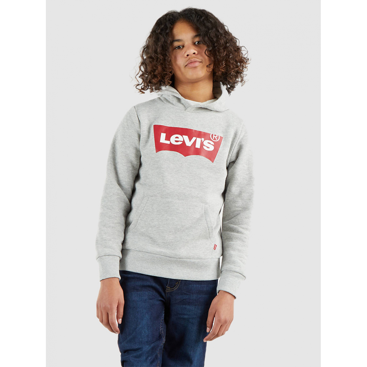 Sweatshirt Boy Grey Levis - 9E8778C87  | Mellmak